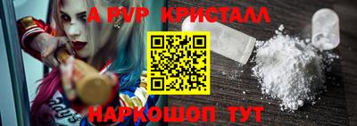 стафф Будённовск