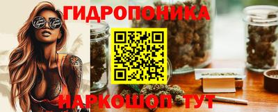 стафф Будённовск